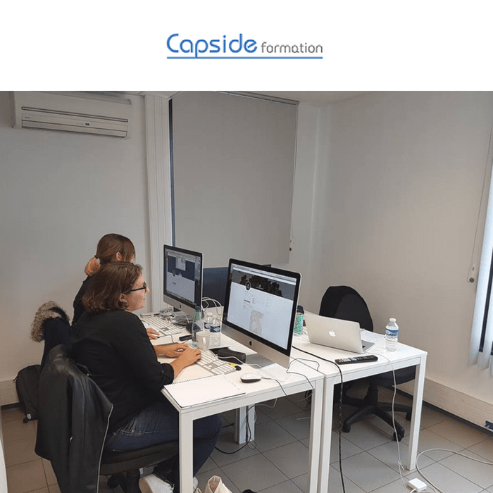 Capside