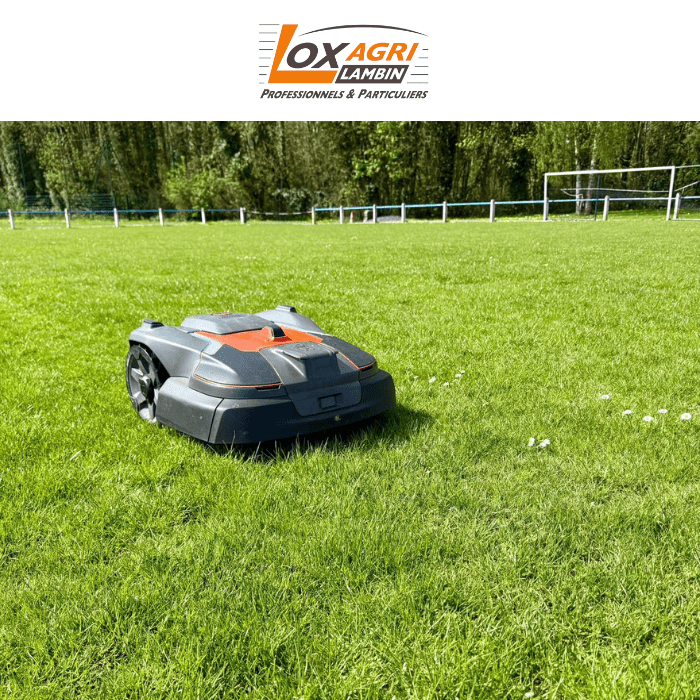 Loxagri Lambin